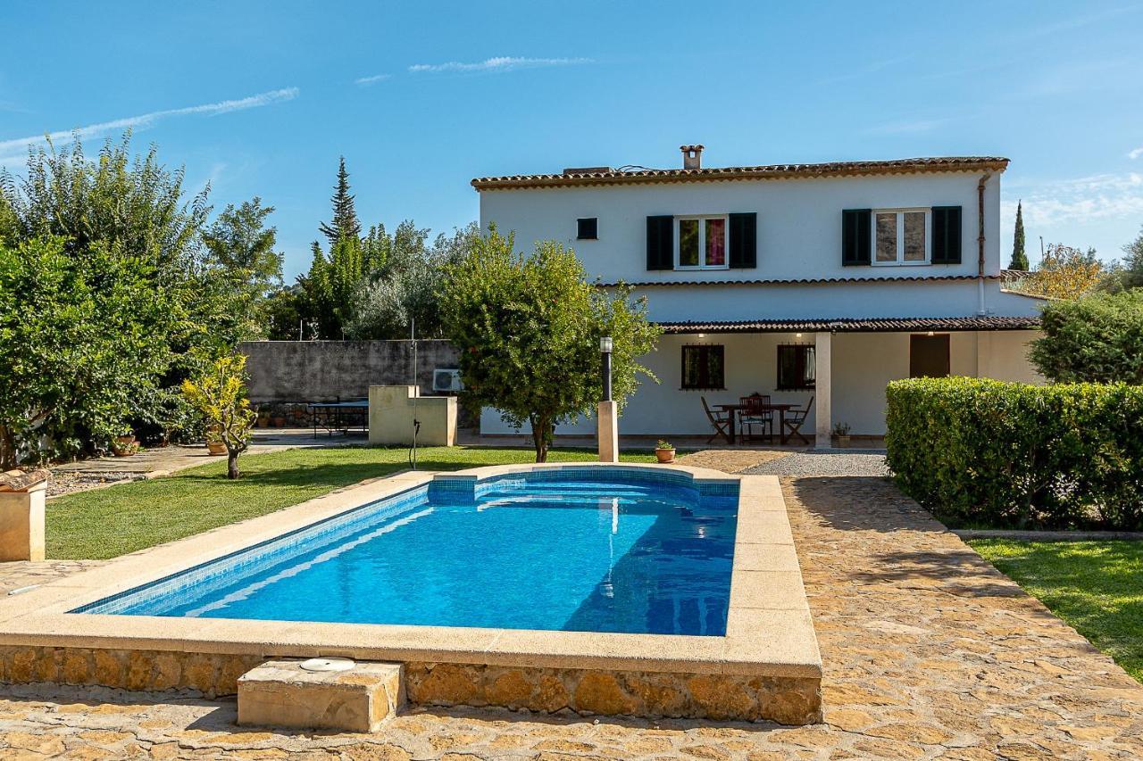 Villa Palmeras 4 Personas Cerca Del Pueblo De *