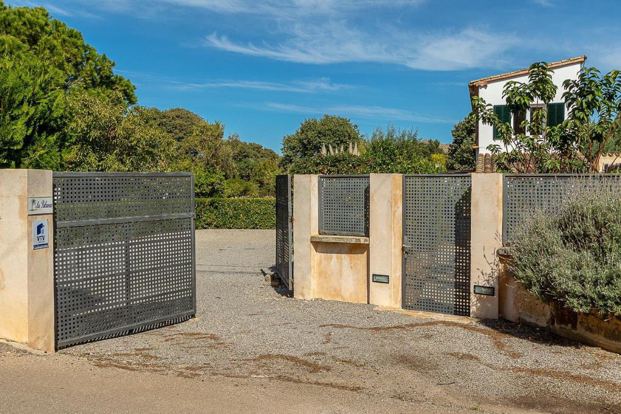 Palmeras 4 Personas Cerca Del Pueblo De Villa Pollença