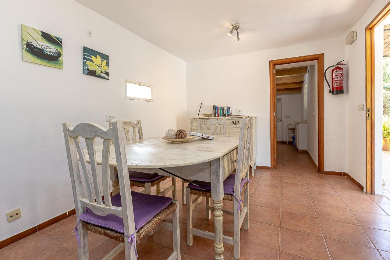 Palmeras 4 Personas Cerca Del Pueblo De Villa Pollença
